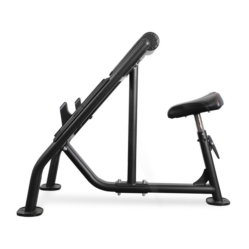 Фотография Скамья Скотта профессиональная BRONZE GYM BR-1007 1