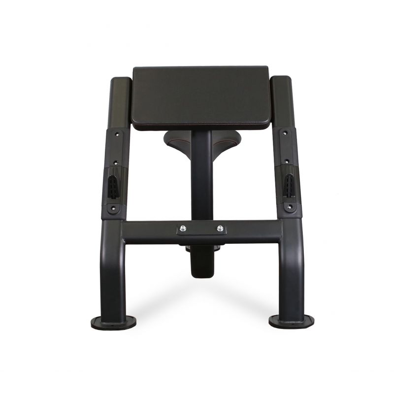 Фотография Скамья Скотта профессиональная BRONZE GYM BR-1007 2