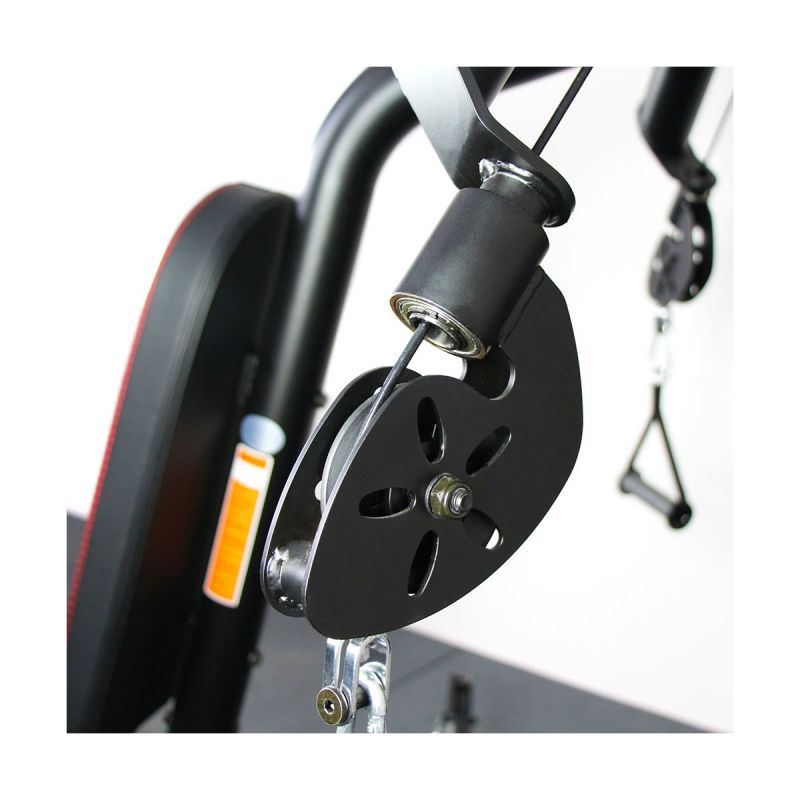 Фотография Грудь / плечи Inspire DMCS 5