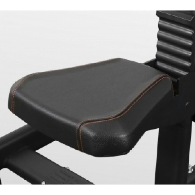 Фотография Трицепс BRONZE GYM PL-1712 4