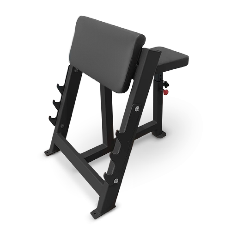 Фотография Скамья Скотта BRONZE GYM AL-303 0