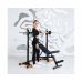 Миниатюра Скамья силовая универсальная DFC Pro Fitness D848 27  мини