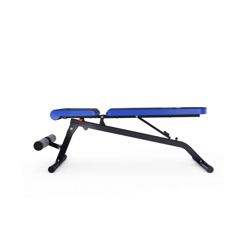Фотография Скамья силовая универсальная DFC Pro Fitness D848 3