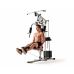 Миниатюра Силовой комплекс DFC HomeGym D7001-60 стек 60 кг 17  мини