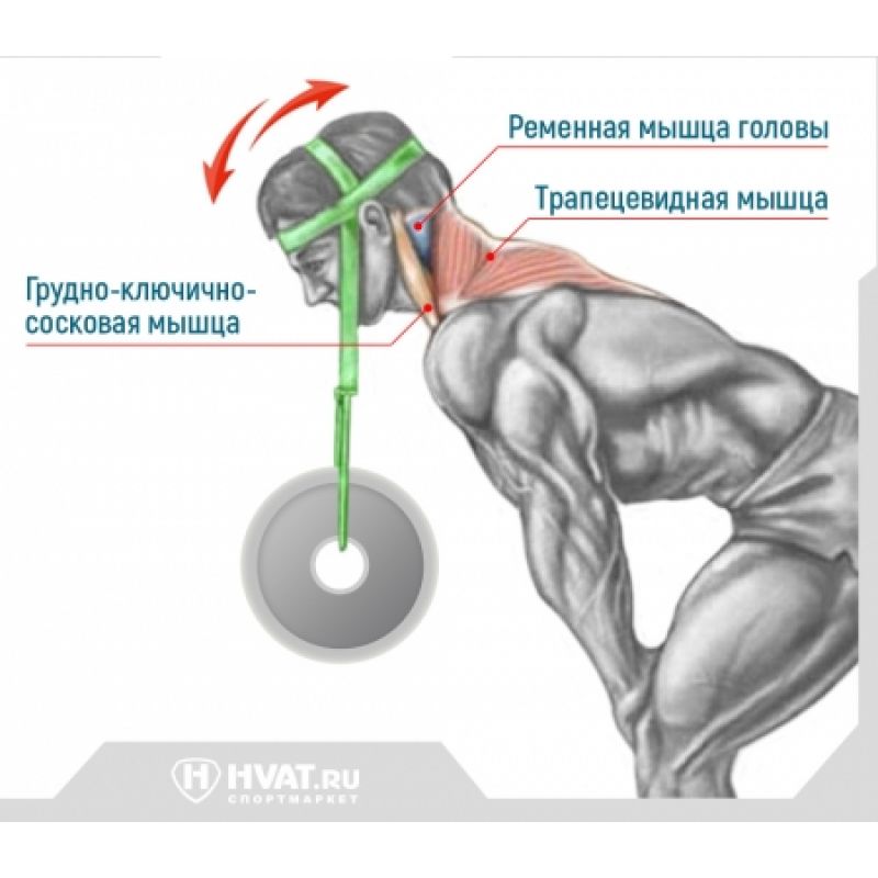 Фотография Тренажер для шеи и осанки 4